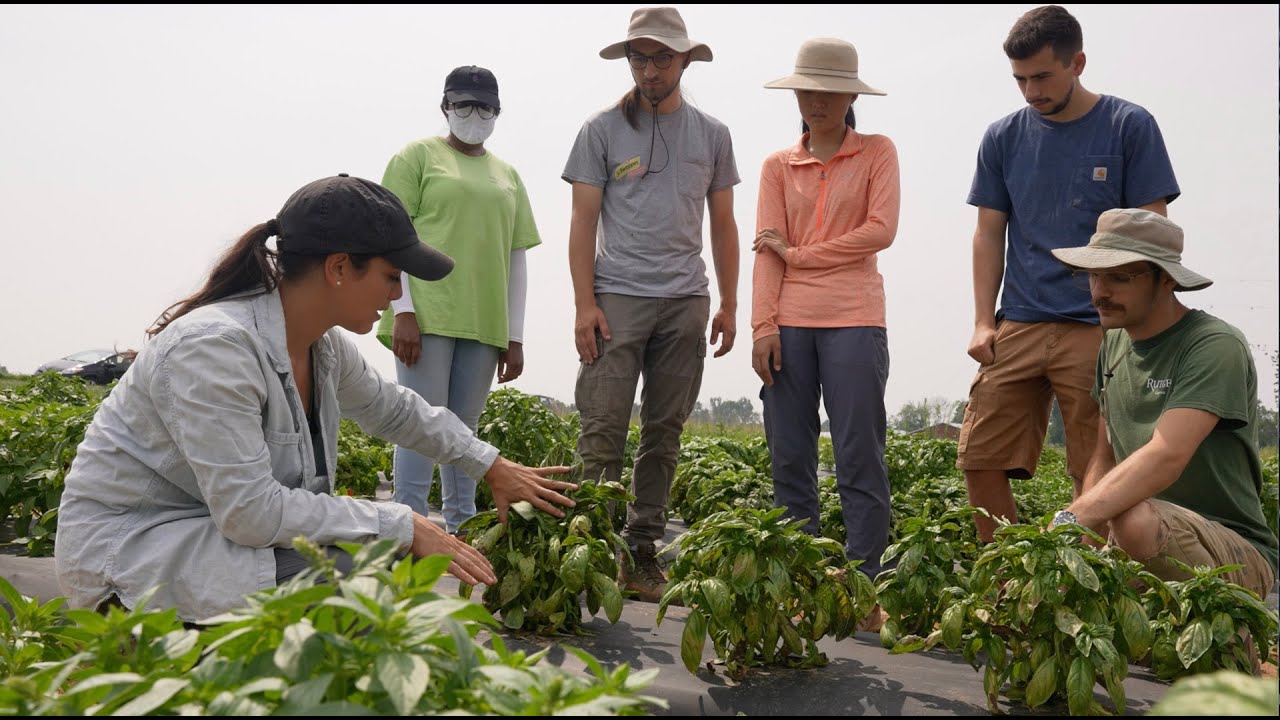 Fields of Devotion — Official Trailer