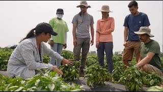 Fields of Devotion science documentary trailer