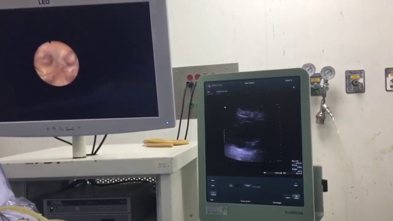 Enrique Pulido Contreras-34