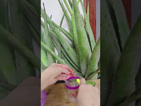 BRILLIANT BEAUTY IDEAS THAT WILL MAKE YOU SHINE BY ALOVERA TIPS # 328