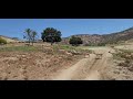 San Diego Zoo Safari Park L Gazelles Migrating And Jumping 1K 2021