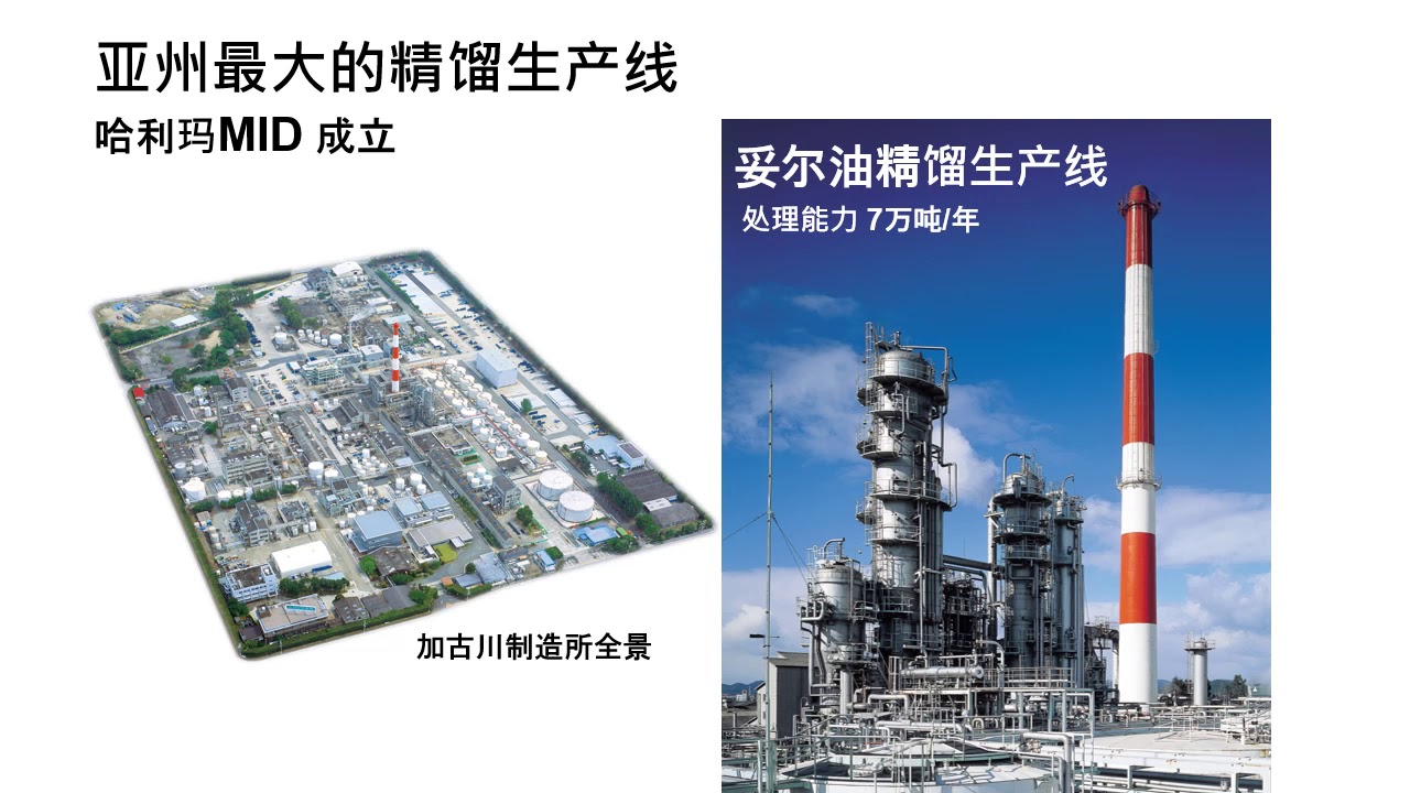 详细解说松脂化学 | #3 妥尔油业务的变迁