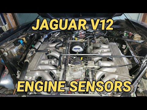 Jaguar XJS V12 - Overview of engine sensors & switches