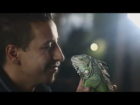 Oliver Lowe & Talpas - Listen! feat CSP443 & Dj Opia /// Remix