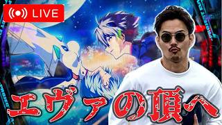 【エヴァ17】MQリゾー東神奈川店