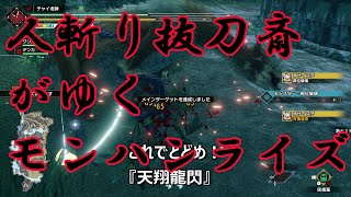 【モンハンライズ】緋村剣心がカムラの里を訪れたようです。