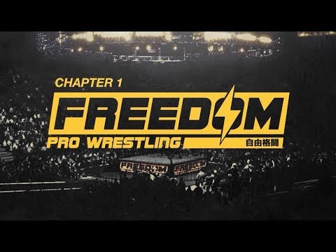 Freedom Pro - Chapter 1