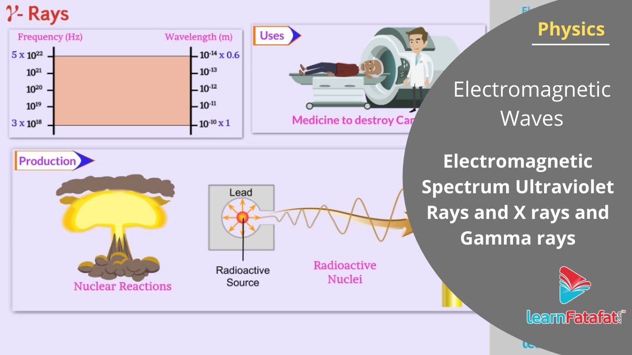 Electromagnetic Waves Class 12 Physics Chapter 8 | Electromagnetic Spectrum