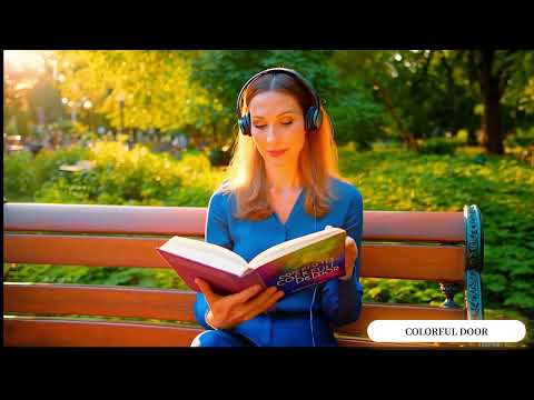 Colorful Door -  Mokre ulice ( Visualizer) 2025