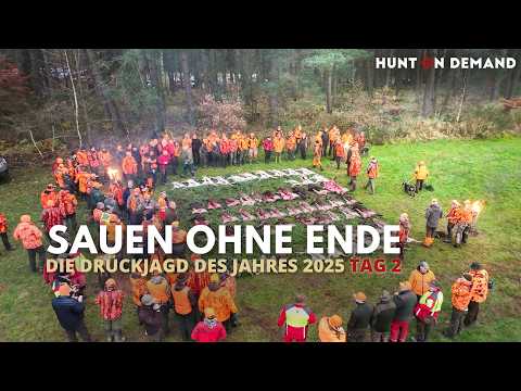 🐗🐗 SOWS WITHOUT END 🐗🐗 – THE DRIVED HUNT OF THE YEAR 2025 Day 2 – exclusive excerpts – Hunt on De...
