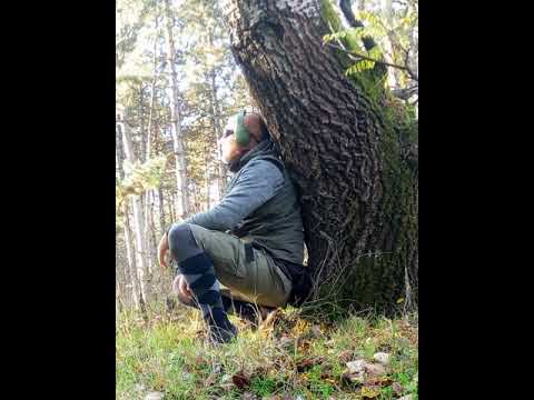 Nemes Levente -Tündérmenet 2021