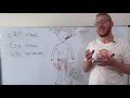 Systemic effects of inflammation