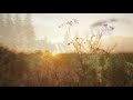 Spirit Of The Dawn, Soothing Calm Solo Piano, By Michael Allen Harrison