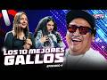 LOS 10 MEJORES GALLOS CONCIERTO TALENTO