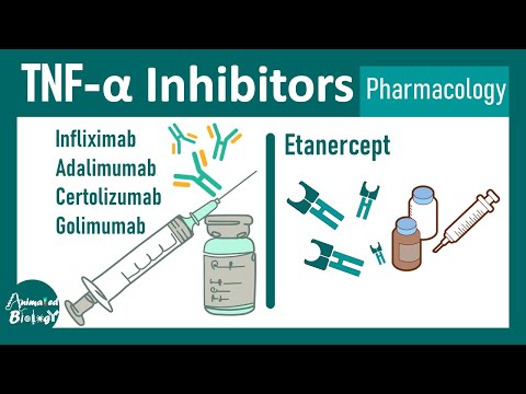 TNF alpha inhibitors | TNF alpha | cytokines
