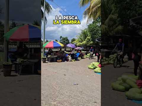 📍Waspam Río Coco | NICARAGUA 🇳🇮