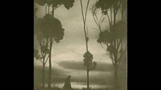 The Deep Dark Woods - The Banks Of The Leopold Canal