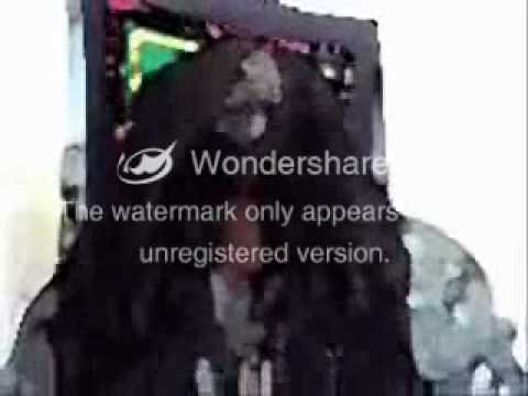 Thanx Jah Protec I - Percydread ites