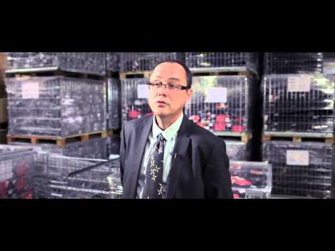 ISOTONER et le Pays de Salers