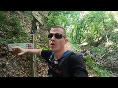 Die 9 Etappe vom Rheinburgenweg