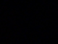 Closing To Eddsworld Halloween And Christmas 2004 VHS