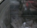Electrolux Washer IQ