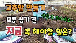 고추밭 만들기 고추모종심기전 지금 꼭 해야할일은? 이건 꼭 뿌려놓으세요 붕사, 칼슘, 마그네슘, 퇴비, 유기…