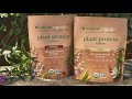 Plant Based Protein Powder Nutrilite Organics Amway
