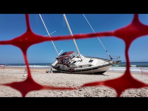 Florida Trend Video Pick - Video