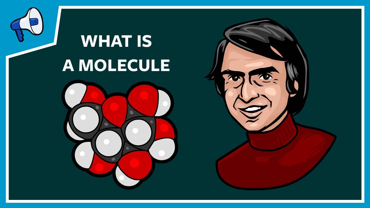 What Is a Molecule?