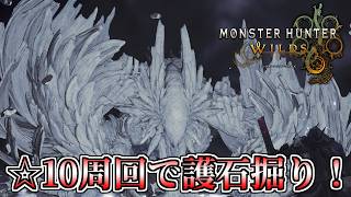 【MHWilds】約１カ月ぶりに☆10周回して護石を掘る！【モンスターハンターワイルズ】