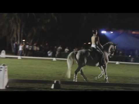 Mary Bahniuk Lauritsen and Rossignol-ISF at Dressage Under the Stars