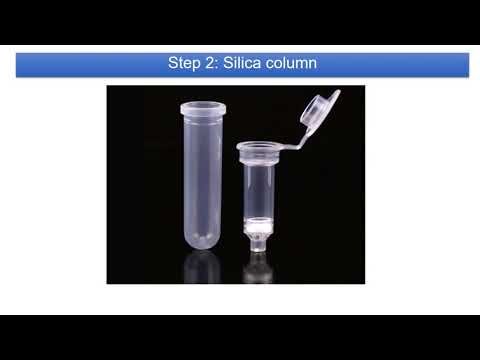 Nucleic acid extraction: Spin Column Based
