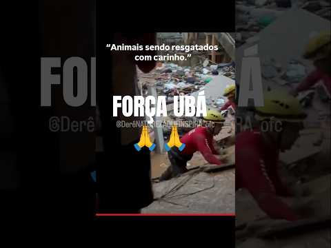 Ubá precisa de oração 🙏 | Enchentes em Minas#Ubá #MinasGerais #Enchente #ZonaDaMata #Solidariedade