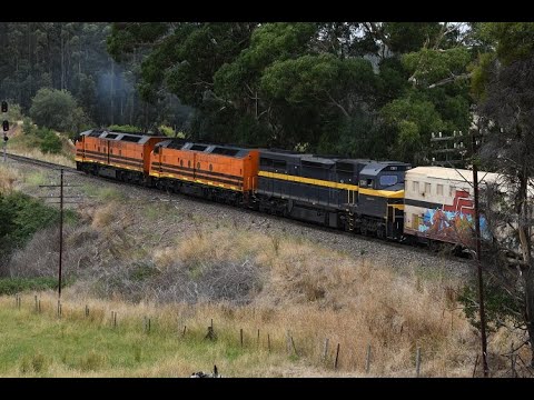 Vintage Locomotives C501 CLF2 CLF4 assist SCT Logistics 4MP9 with SCT13 SCT14 CSR3 CSR12