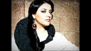 Zara - Dostum Dostum (remix)