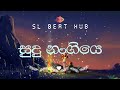 සුදු නංගියෙ - Sudu Nangiye - Ishara Akalanka - Cover Song - SL BEAT HUB