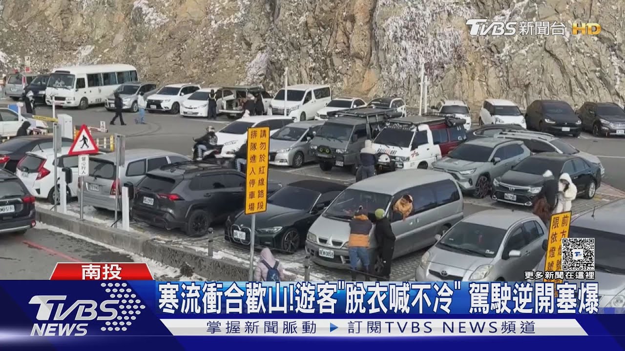 信義鄉賞梅亂象!遊覽車卡彎道 司機下車「擅動梅枝」被抓包