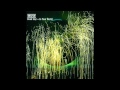 Muse - Dead Star / In Your World Muse - Dead Star / In Your World
