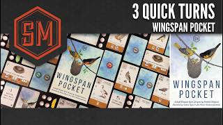 Wingspan Pocket video thumbnail