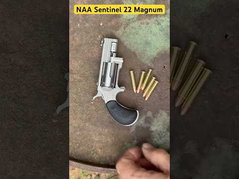 NAA North American Arms .22 LR Mini Revolver For Self Defense? Would I Trust My Life With It?