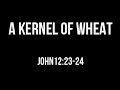 A KERNEL OF WHEAT (John 12:24-25) Chords and Lyrics