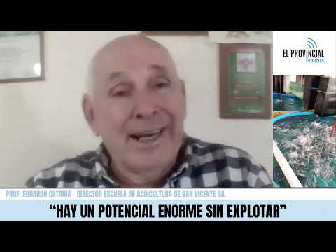 Acuicultura en San Vicente: modelo productivo que busca transformar empleo, ambiente y alimentación