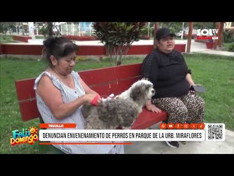 Trujillo: denuncian envenenamiento de perros en parque de la Urb. Miraflores