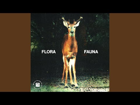 Fauna