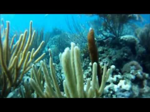 Scuba PR, Cayo Diablo,Fajardo,Puerto Rico