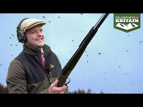 Ollie Williams at The Ridgeway: "The best pheasant drive I've ever shot"