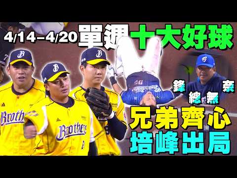 中職 》4/14-4/20 單週十大好球 ⚾這個中外野手太狠了! 申皓瑋連兩週稱霸美技第一【MOMO瘋運動】