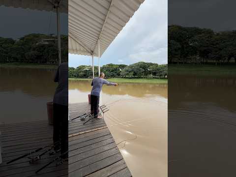 Flutuante em Santa Maria da Serra