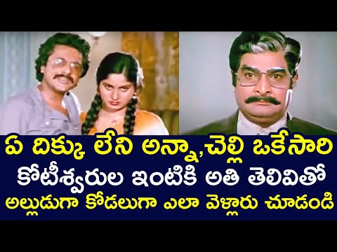 BROTHER & SISTER HATCH A DEVIOUS PLAN TO BECOME BILLIONAIRE | KRISHNA | JAYSUDHA | V9 VIDEOS
